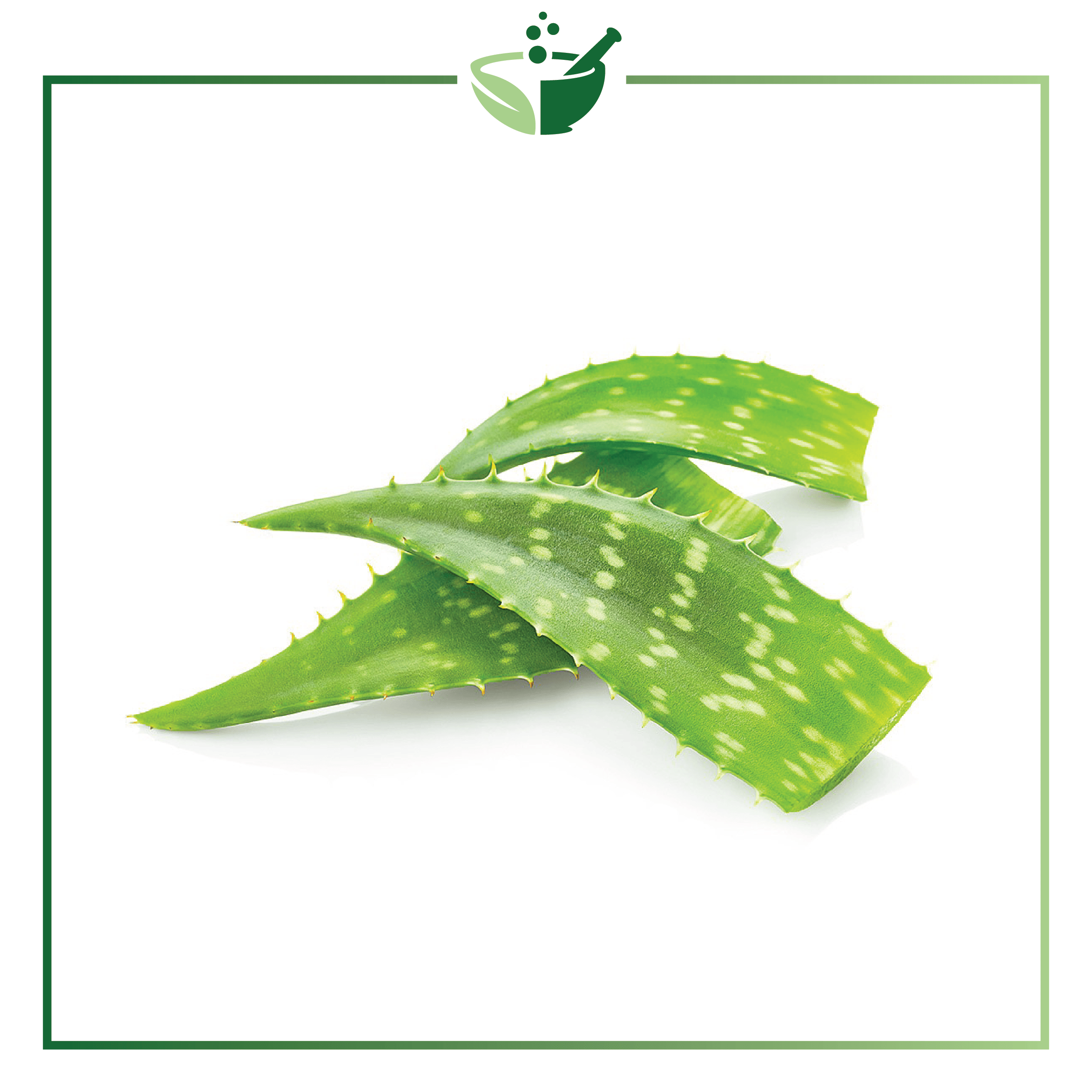 Infuziona ulja: Aloe Vera Oil