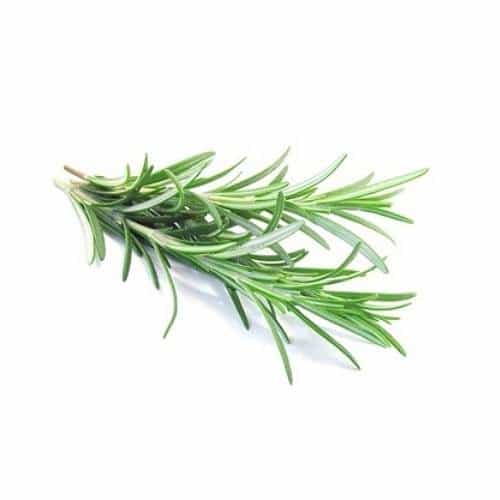 Glicerinski biljni ekstrakti Rosemary Leaf Extract