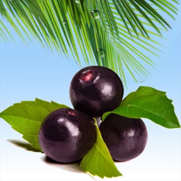 Acai-Berry-Fragrance-Oil3