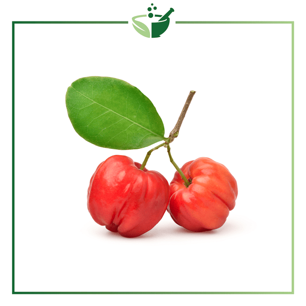 Acerola-Cherry-Fruit-Powder4