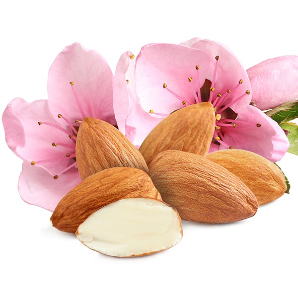 Almond-Fragrance-Oil