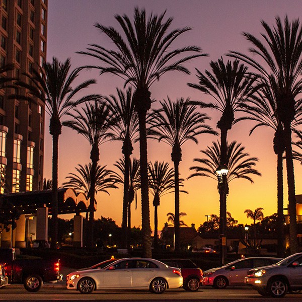 Beverly-Hills-Glam-Fragrance-Oil