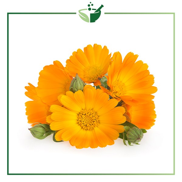 Calendula-Flower-Extract-Standardized-Lutein-5