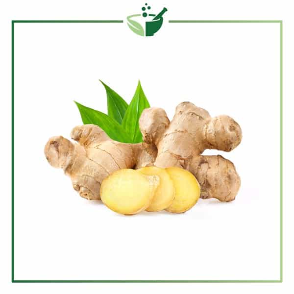 Ginger-Root-Powder3