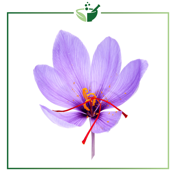 Kumkumadi-Tailam-Oil12