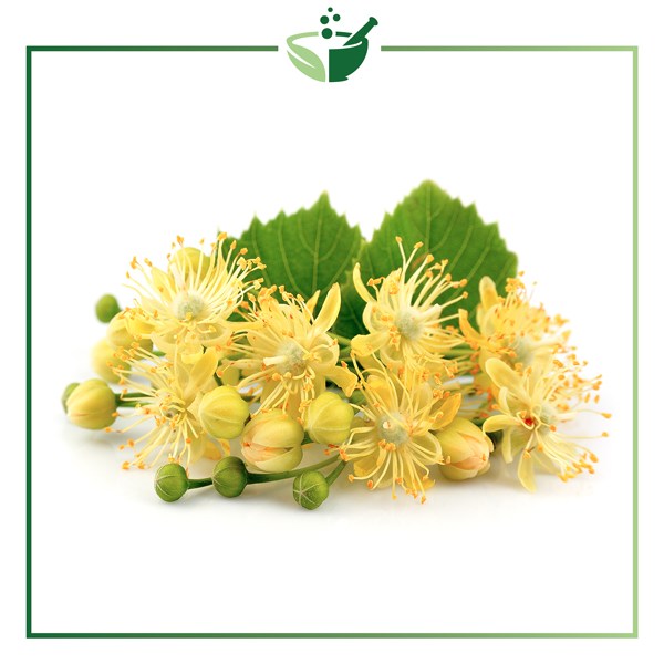 Linden-Infused-Oil