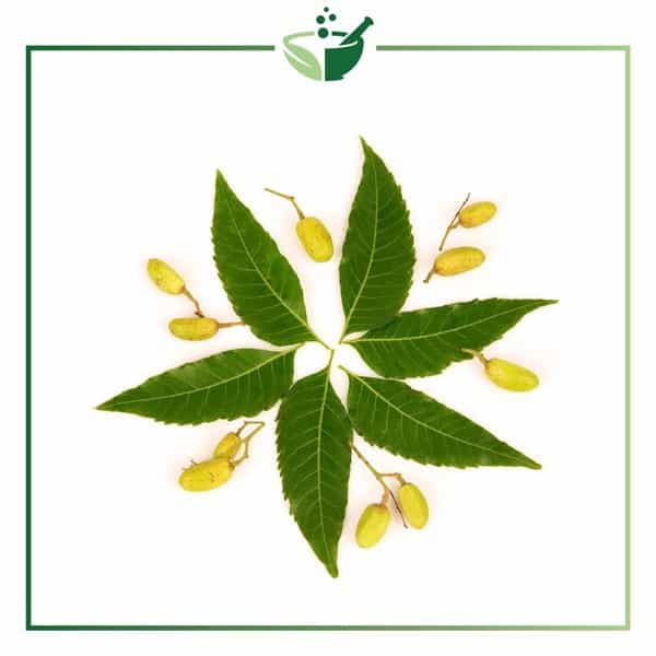 Neem-powder