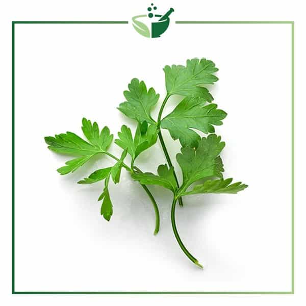 Parsley-Essential-Oil