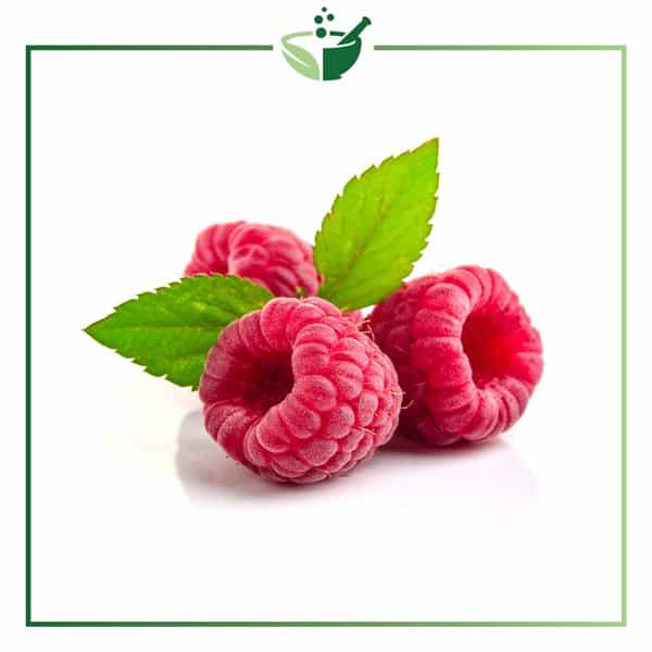 Raspberry-Fruit-Extract8
