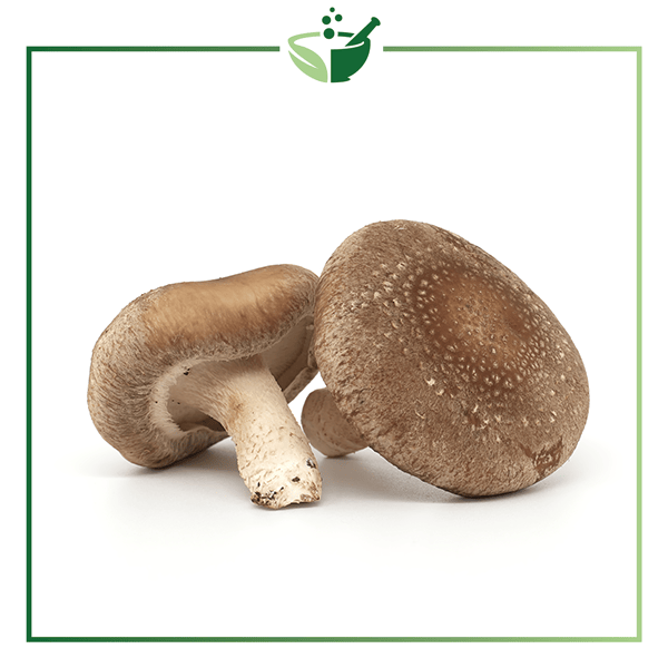 Shiitake-Mushroom-Powder