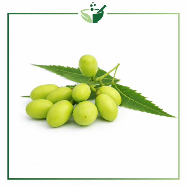 neem-fruit-original-with-green-frame