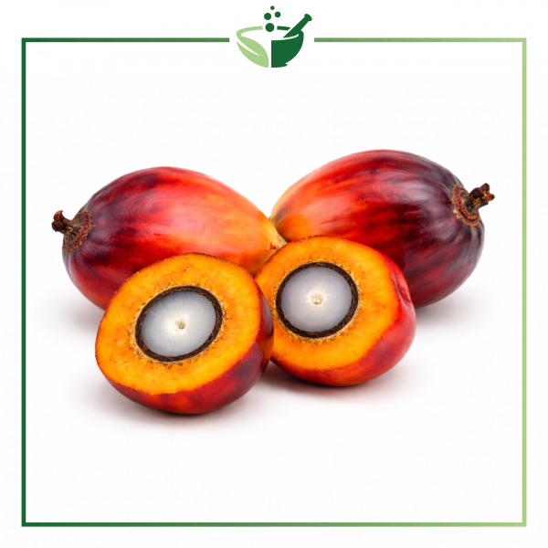 palm-fruit-original-with-green-frame2