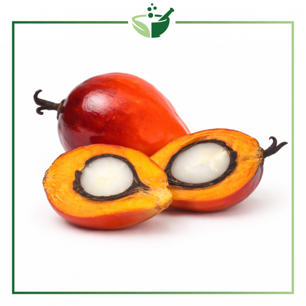 red-palm-fruit-original-with-green-frame