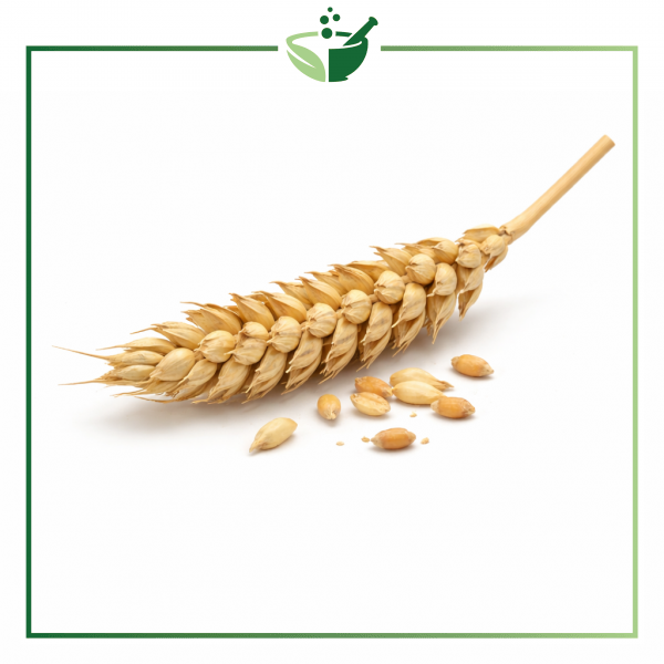 wheat-original-with-green-frame6